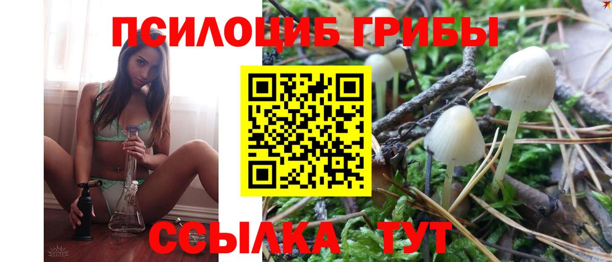 Псилоцибиновые грибы ЛСД  Вход с VPN  Александров 
