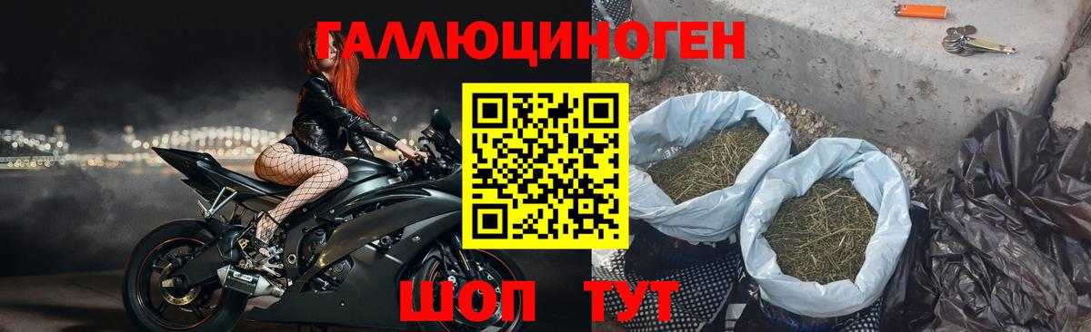 Галлюциногенные грибы Cubensis Александров